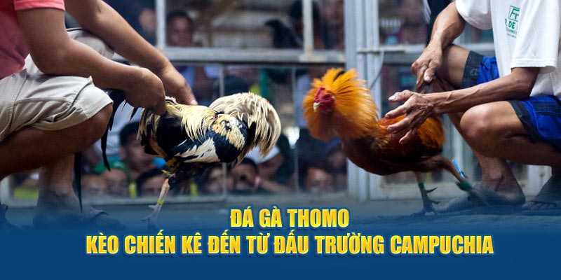 Tie trả thưởng hấp dẫn