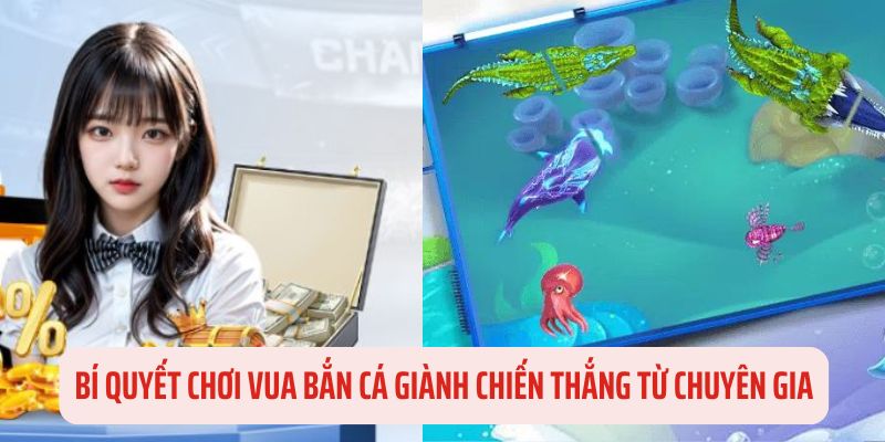 Bí quyết giành chiến thắng khi chơi vua bắn cá từ các chuyên gia