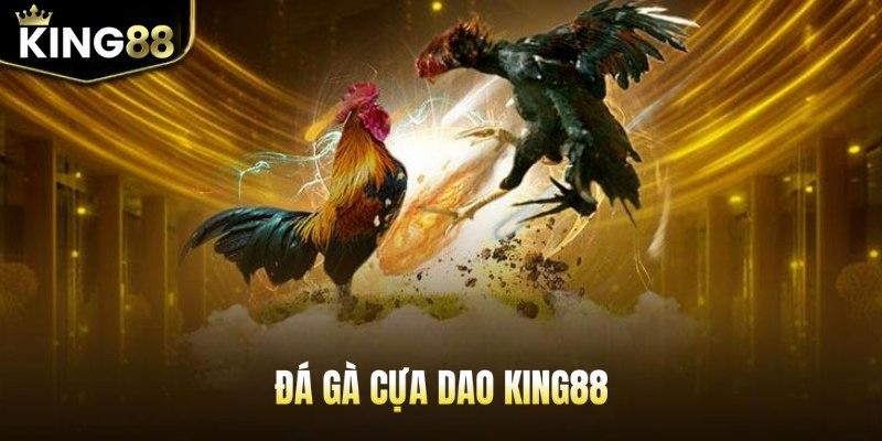 Đá gà King88 cựa dao siêu hot