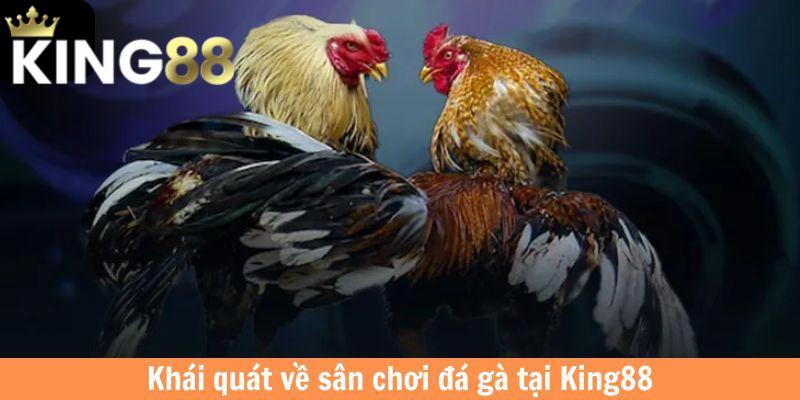 Đá gà King88 - Sân chơi chọi kê siêu đẳng cấp